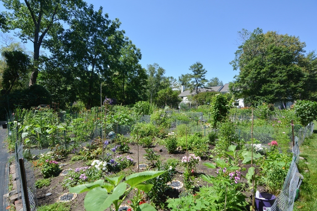 8 Concord Greene, Unit 4 Concord, MA 01742 - Photo 37 of 42 a view of a garden with plants