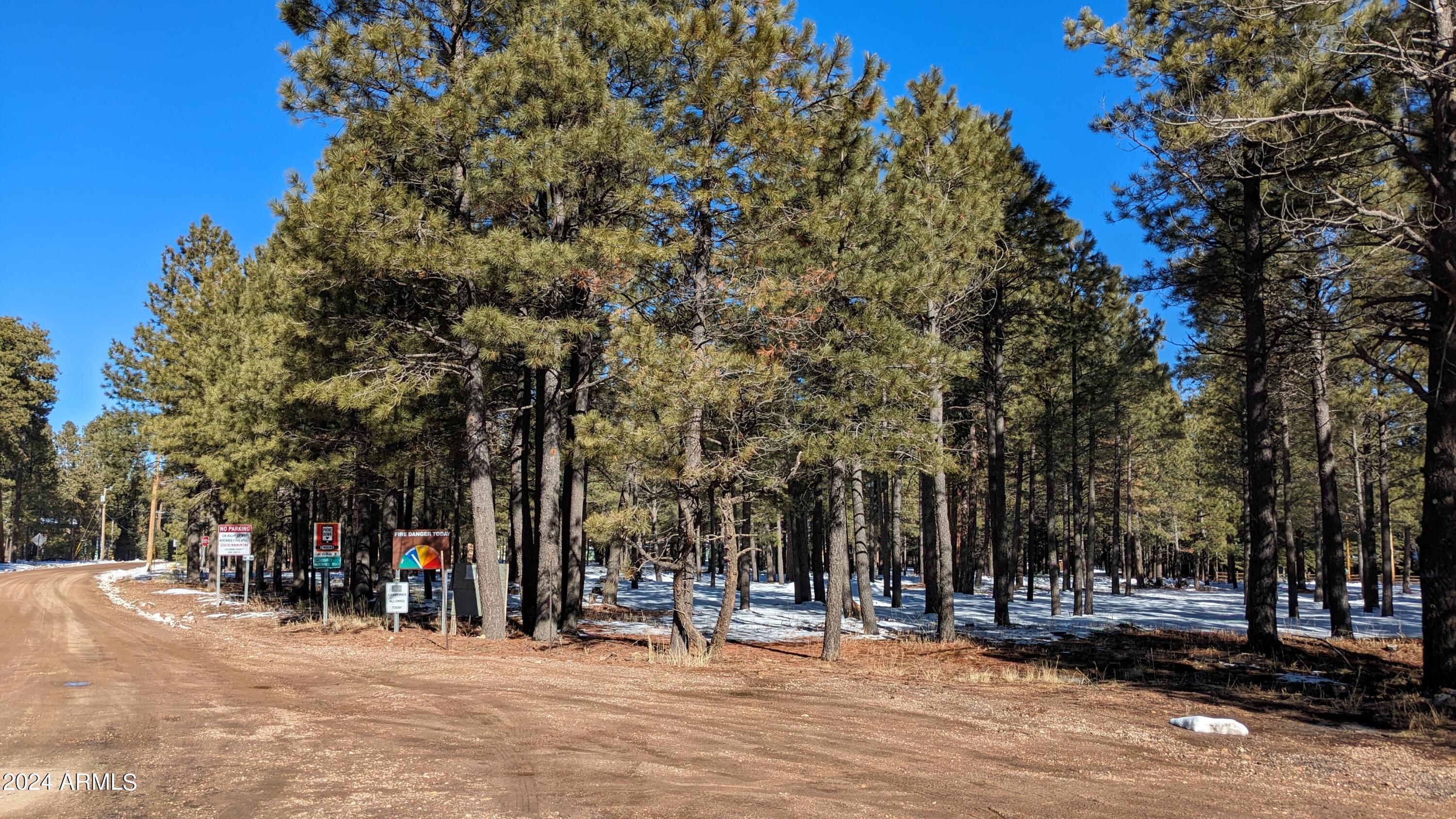 1019 Merzville Road, Unit 234 Forest Lakes, AZ 85931 - Photo 6 of 11 a view of a park with trees