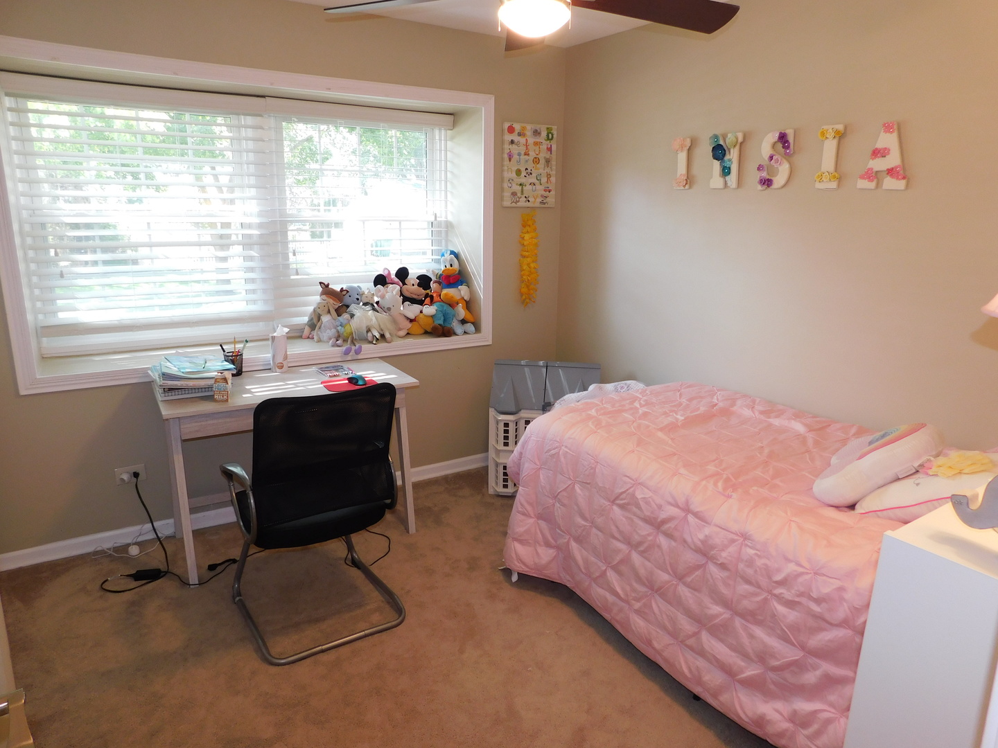1062 Beechwood Road Buffalo Grove, IL 60089 - Photo 12 of 21