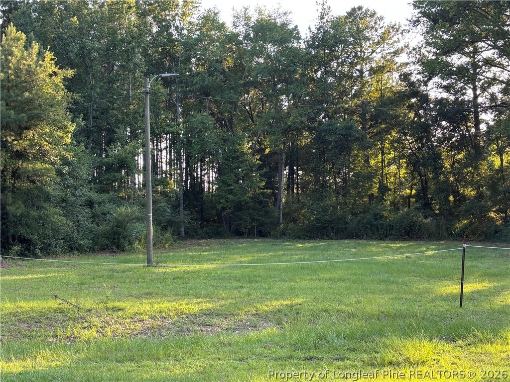 595 Shaw Road St. Pauls, NC 28384 - Photo 1 of 29