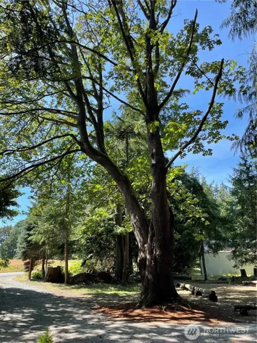 a view of a yard in front of the house
