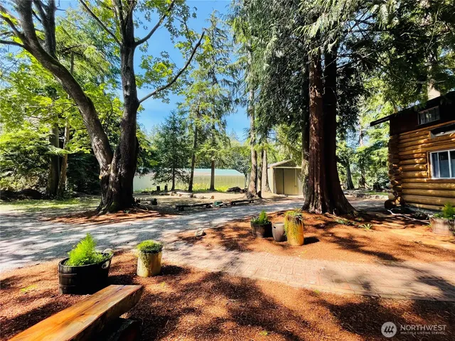 a view of a backyard with large trees