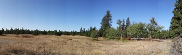 22.69-ac Stentz Road Spangle, WA 99031 - Photo 2 of 2