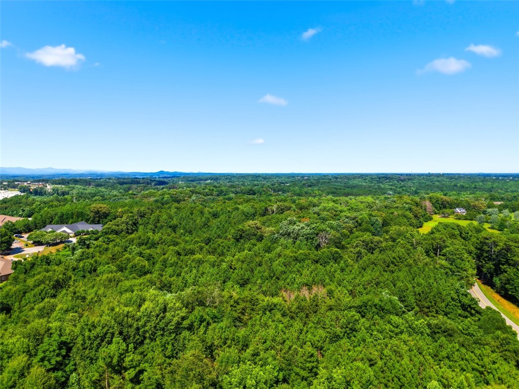 12051 North Radio Station Road Seneca, SC 29678 - Photo 12 of 15 Vast, verdant landscape offering a private setting for your future estate.