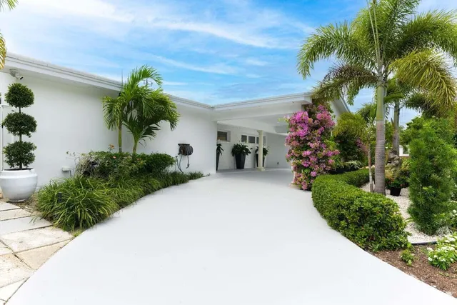 a potted plant sitting in front of a house
