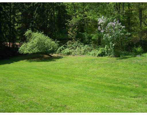 1224 Camp Nancy Road Apollo, PA 15613 - Photo 3 of 14 Yard/Garden. Rear yard, left side.