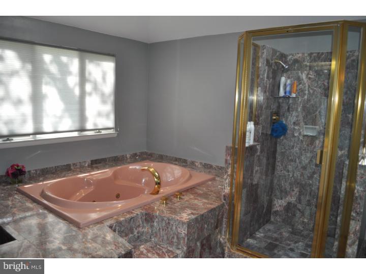 1727 Farmview Road Ambler, PA 19002 - Photo 13 of 19 Master Bathroom