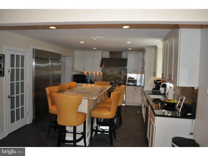 1727 Farmview Road Ambler, PA 19002 - Photo 8 of 19 Kitchen