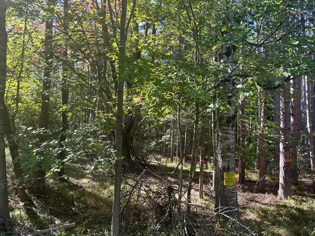 $39,900 | 6195 110th Avenue, Morley, MI 49336