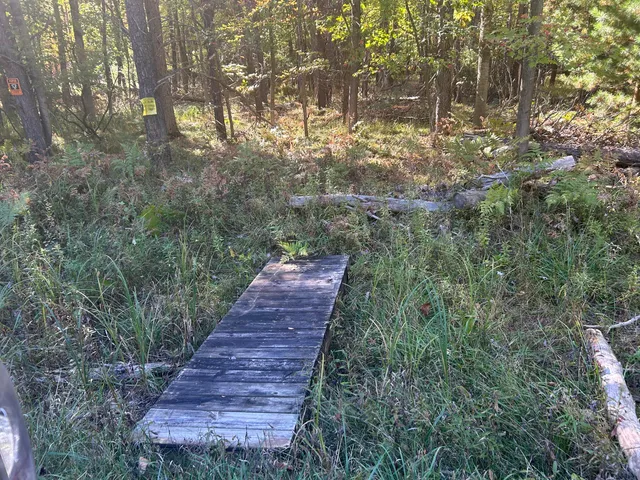 $39,900 | 6195 110th Avenue, Morley, MI 49336