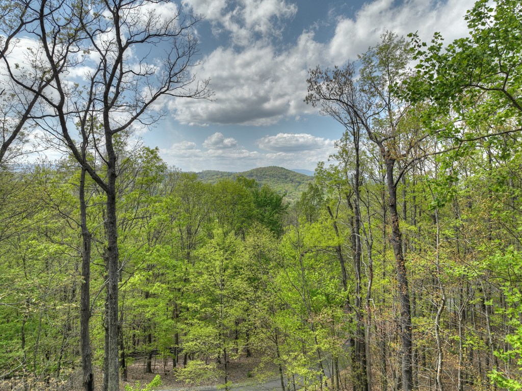 253 Green Ridge Mountain Blue Ridge, GA 30513 - Photo 32 of 59 Gallery Image 32