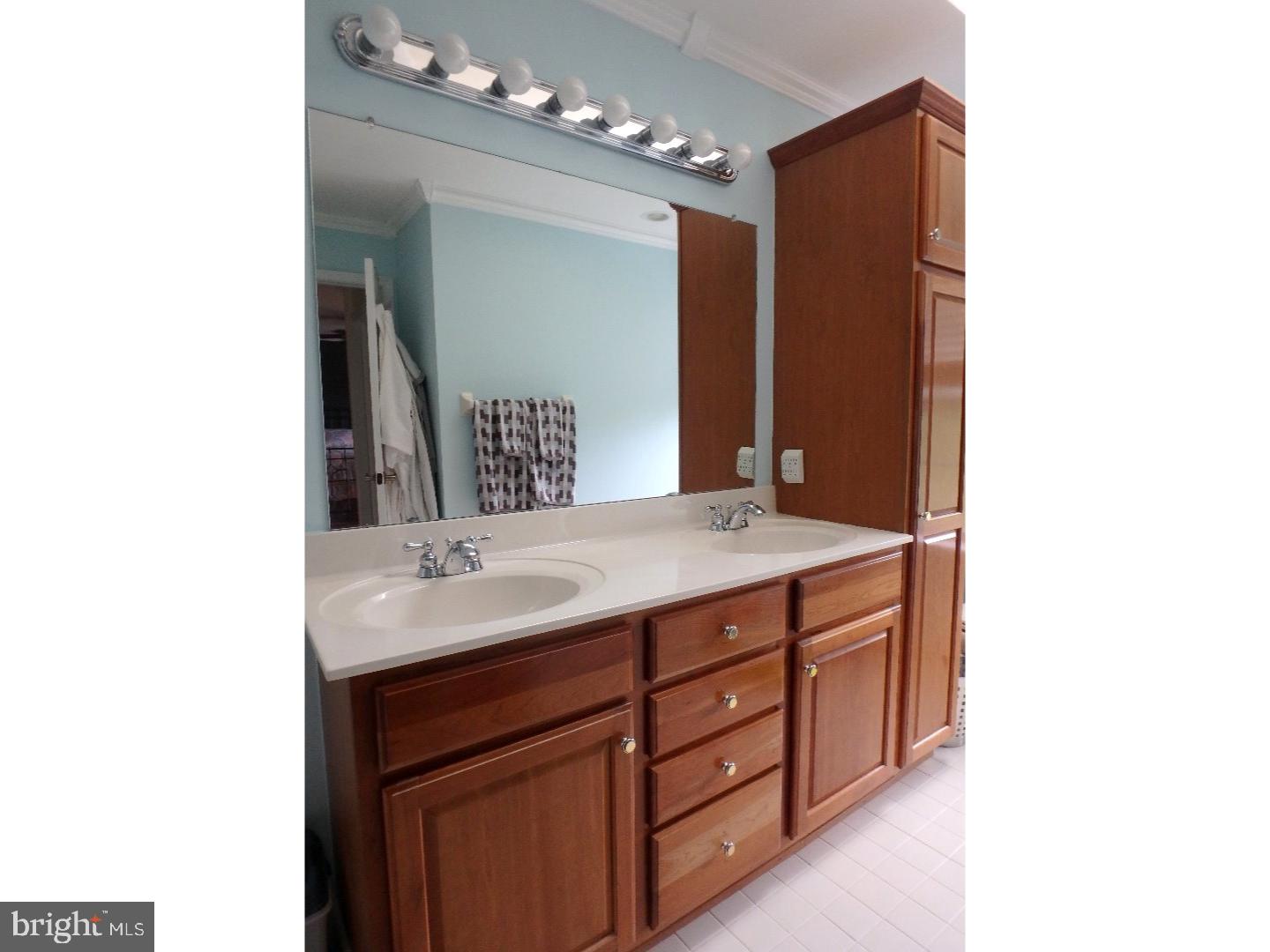 2495 Thistle Road Macungie, PA 18062 - Photo 10 of 19 Master Bathroom