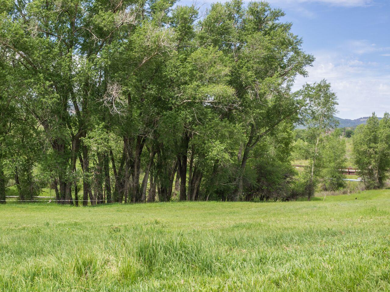 771 Cnty Road Ridgway, CO 81432 - Photo 10 of 68 Second Parcel