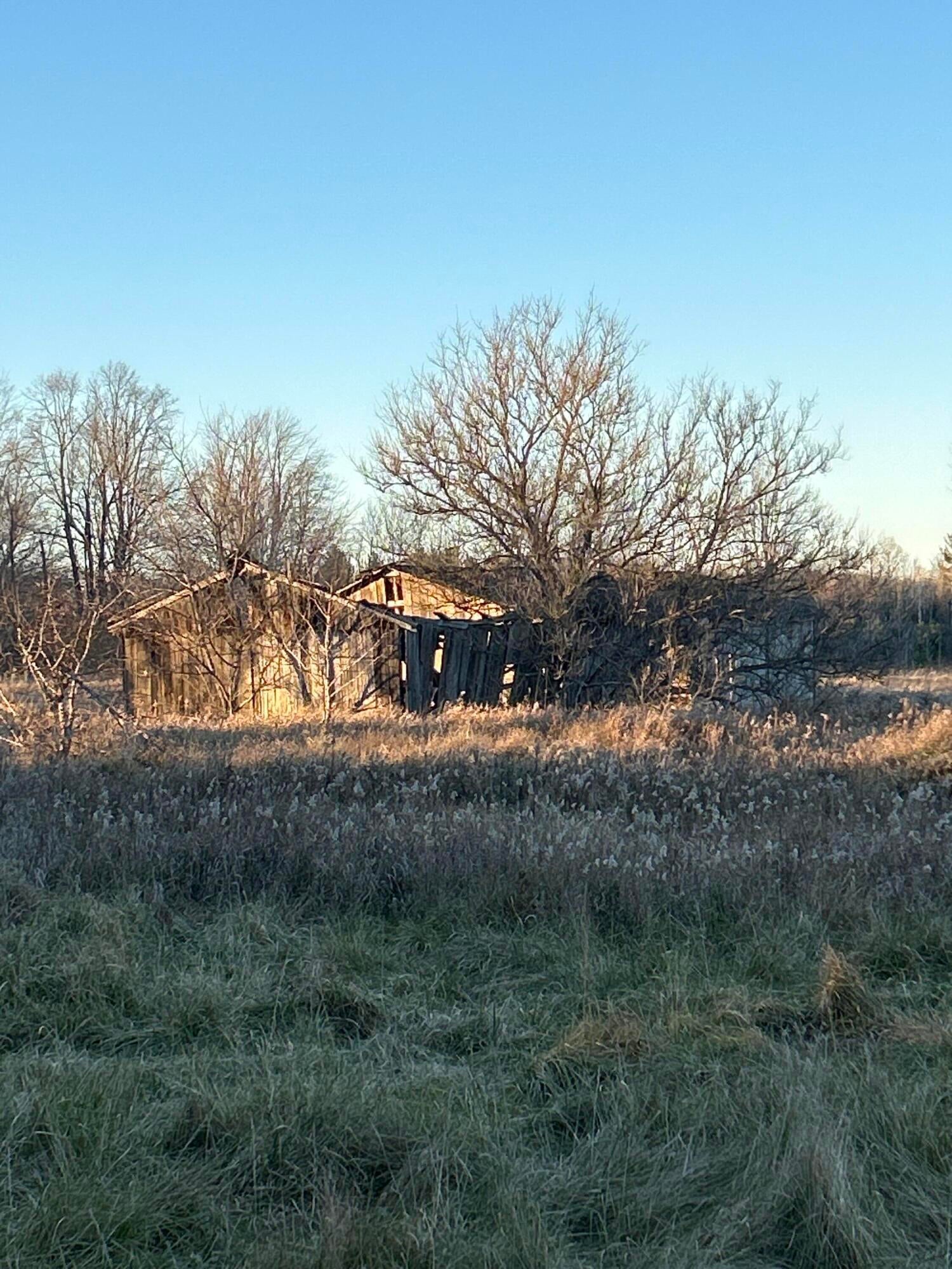 1803 Goddard Road Mikado, MI 48745 - Photo 10 of 13 Gallery Image 10