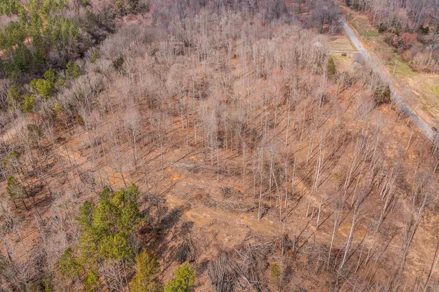 a view of a lake in middle of forest