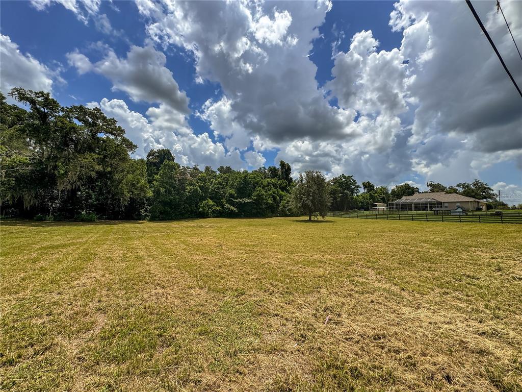 Jacobson Road Brooksville, FL 34601 - Photo 4 of 22