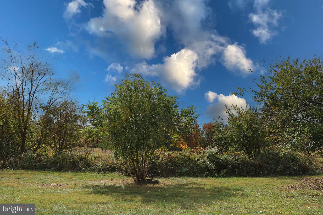 560 Mohns Hill Road Reading, PA 19608 - Photo 9 of 13 a view of a lake with houses