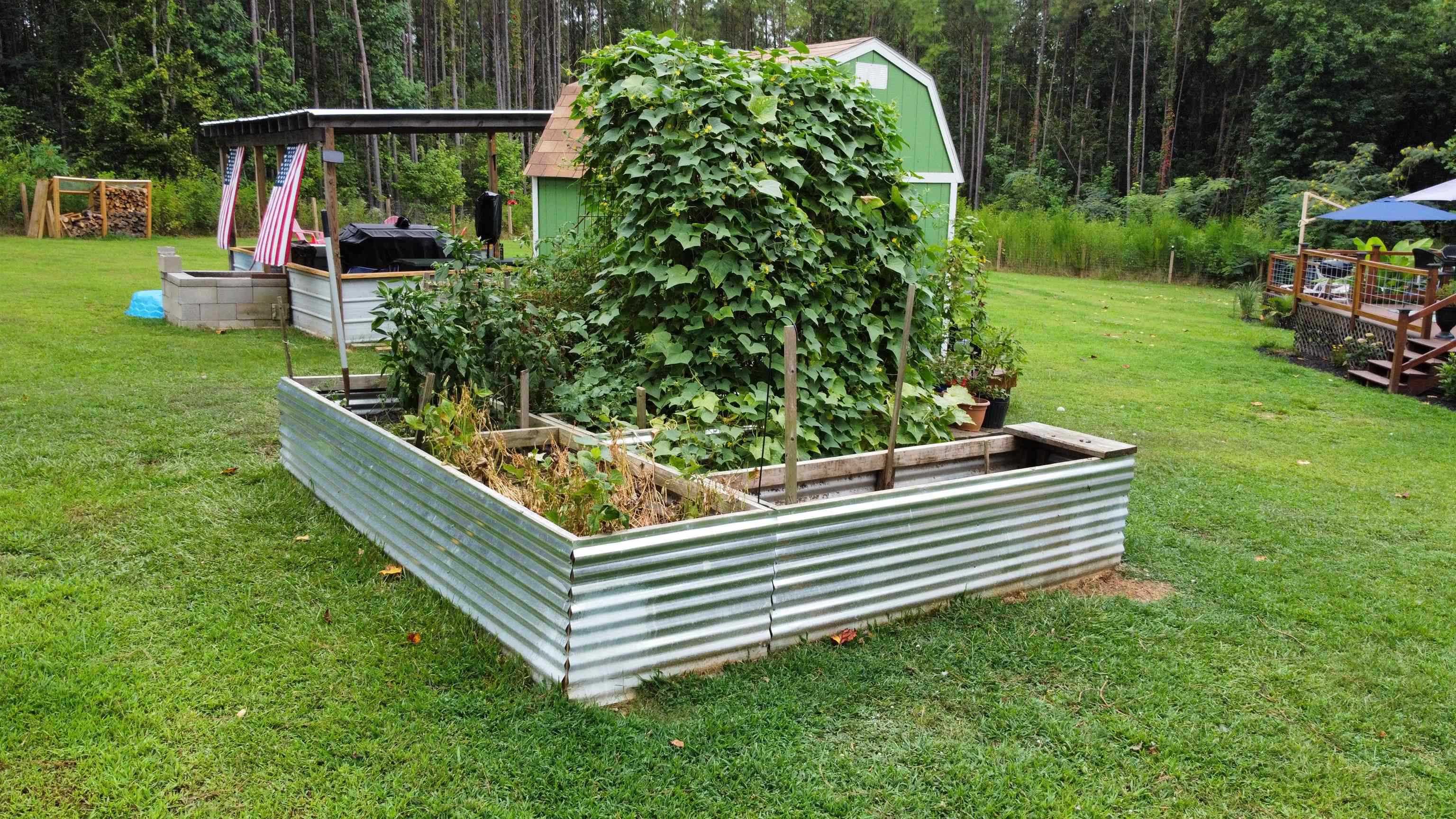 5205 Hamburg Road Michie, TN 38357 - Photo 34 of 40 Raised garden beds.