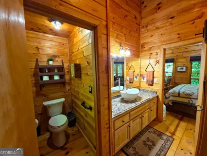 $298,999 | 163 Little Rock Creek Trail, Unit 9, Cherry Log, GA 30522