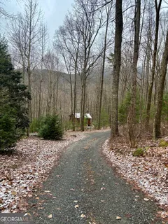 $298,999 | 163 Little Rock Creek Trail, Unit 9, Cherry Log, GA 30522