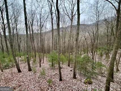 $298,999 | 163 Little Rock Creek Trail, Unit 9, Cherry Log, GA 30522