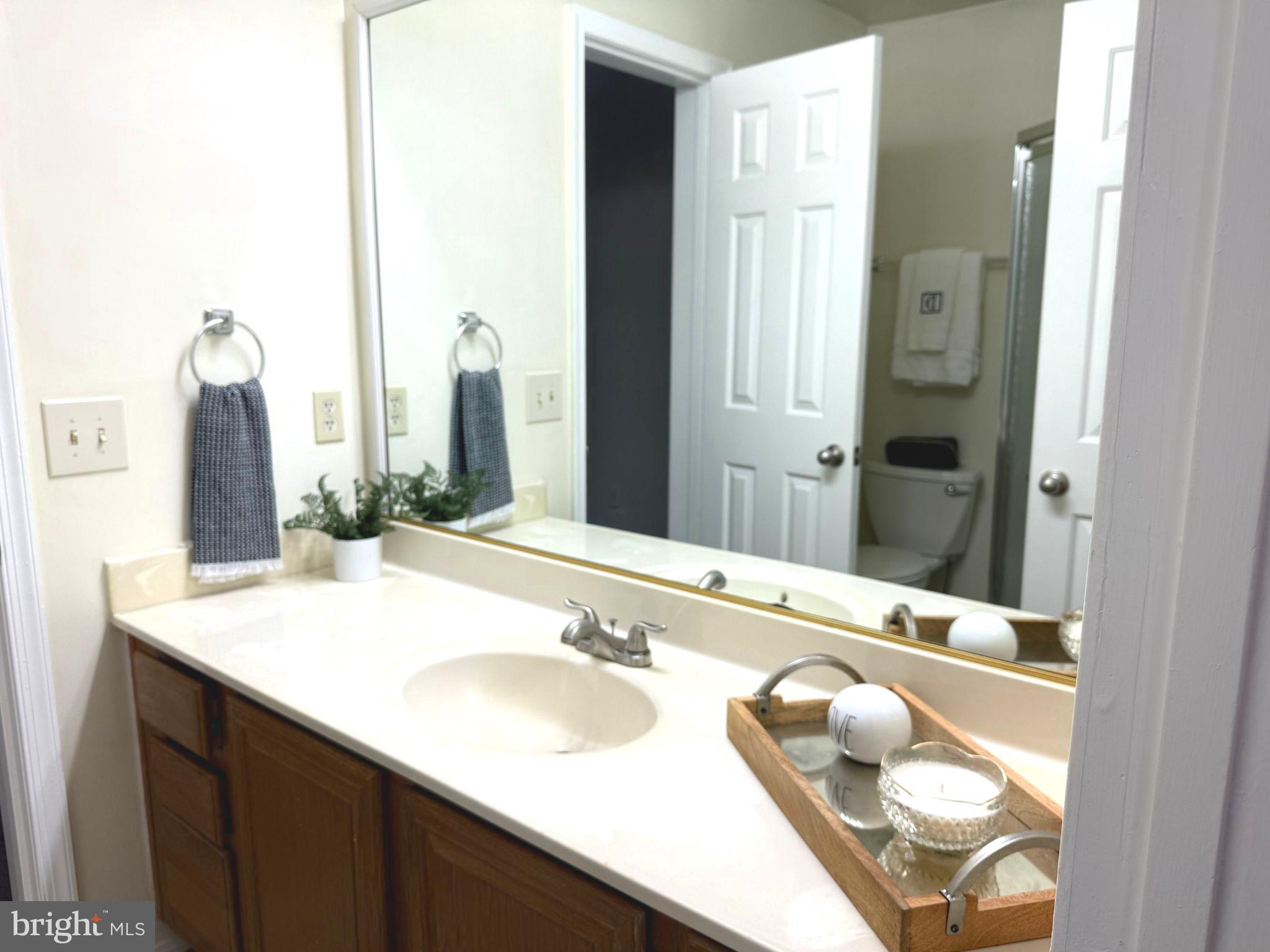11713 Karbon Hill Court, Unit 710A Reston, VA 20191 - Photo 11 of 19 a bathroom with a sink and a mirror