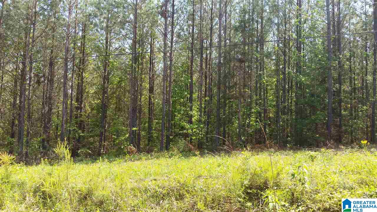 3582 County Road 8, Unit 1 Clanton, AL 35046 - Photo 2 of 13