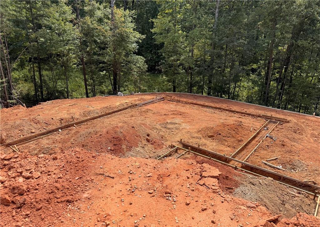 327 Crest Pointe South Bremen, GA 30110 - Photo 4 of 13 a view of backyard space