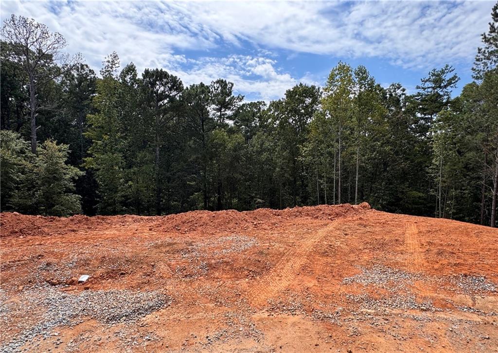 327 Crest Pointe South Bremen, GA 30110 - Photo 5 of 13