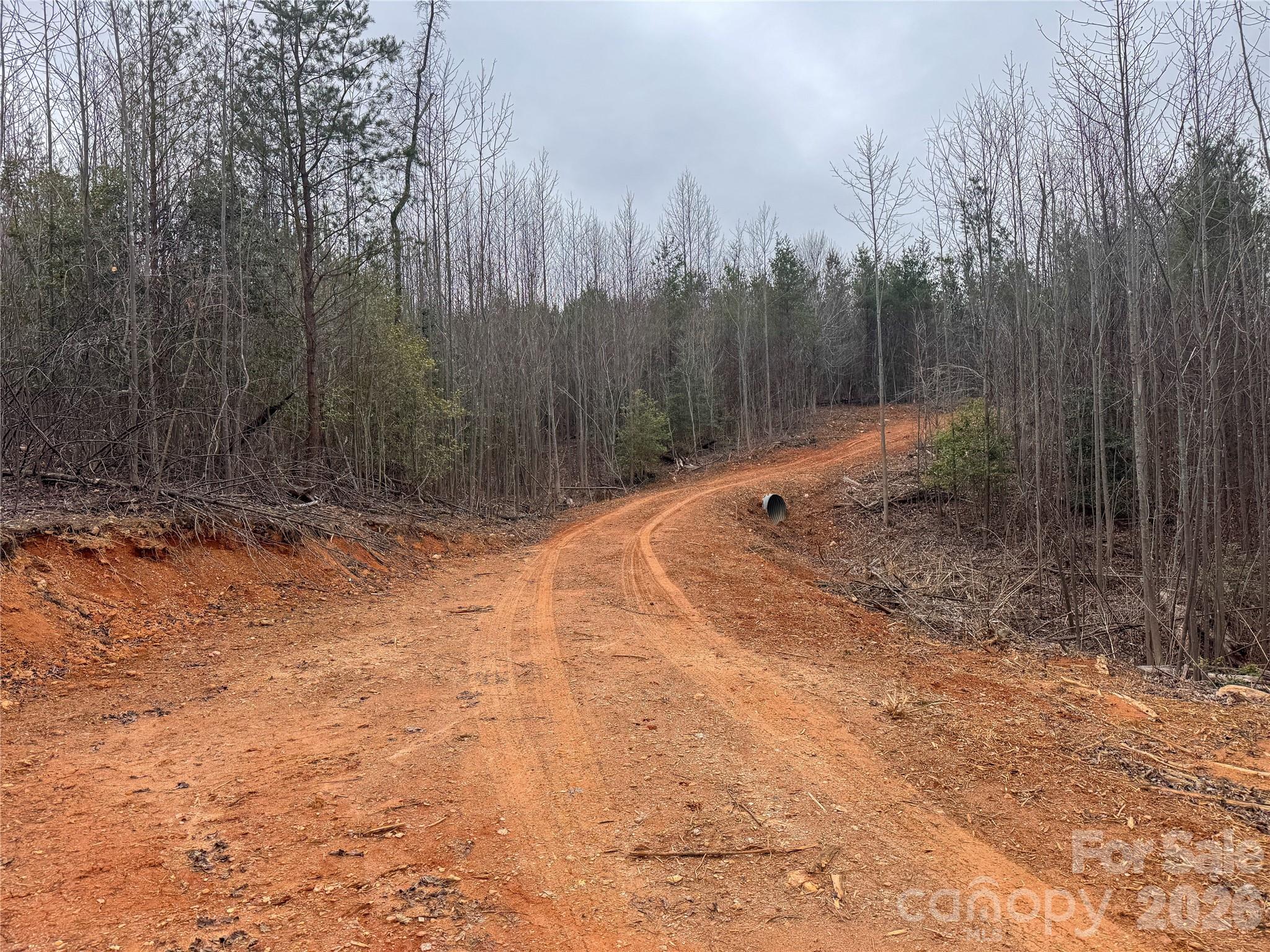 0 Baugess Mill Road Traphill, NC 28685 - Photo 11 of 29