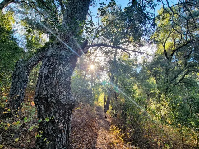 $780,000 | 5049 Highway 78, Santa Ysabel, CA 92070