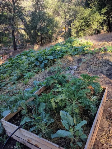 $780,000 | 5049 Highway 78, Santa Ysabel, CA 92070