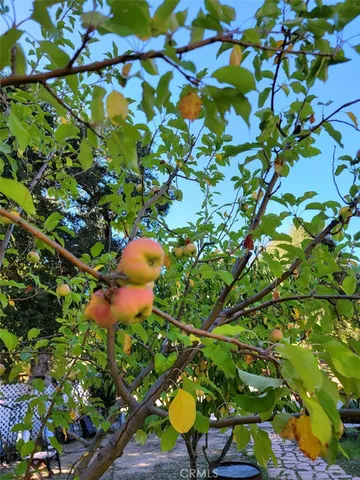 $780,000 | 5049 Highway 78, Santa Ysabel, CA 92070