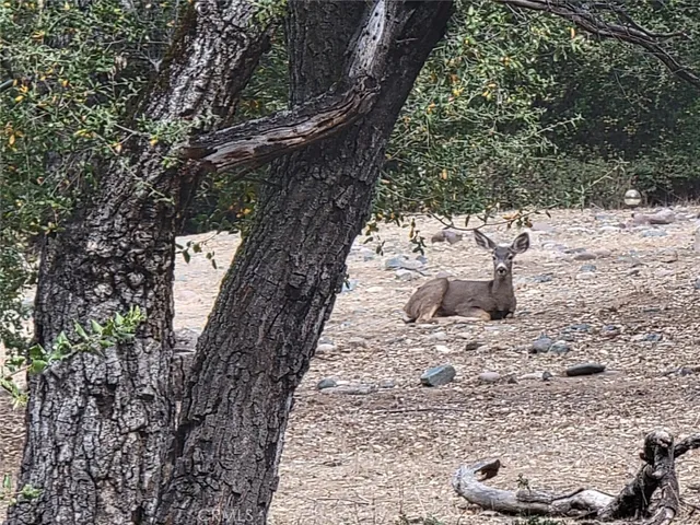 $780,000 | 5049 Highway 78, Santa Ysabel, CA 92070