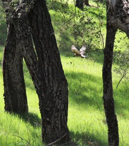 $780,000 | 5049 Highway 78, Santa Ysabel, CA 92070