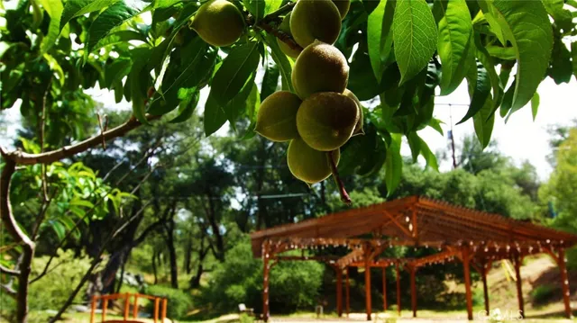 $780,000 | 5049 Highway 78, Santa Ysabel, CA 92070