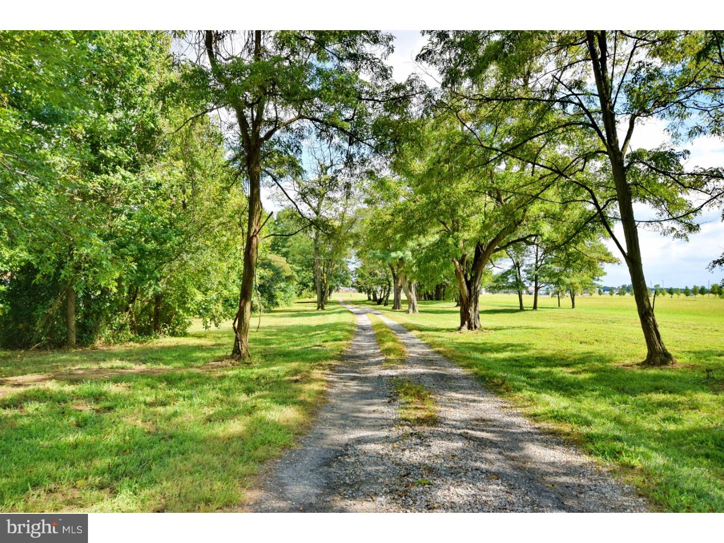 1130 Paddock Road Smyrna, DE 19977 - Photo 3 of 25 Driveway