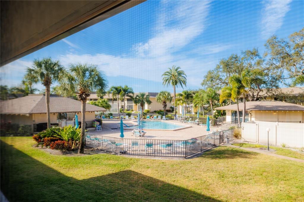 12300 Vonn Road, Unit 1205 Largo, FL 33774 - Photo 13 of 32 a view of a swimming pool with an outdoor space and seating area