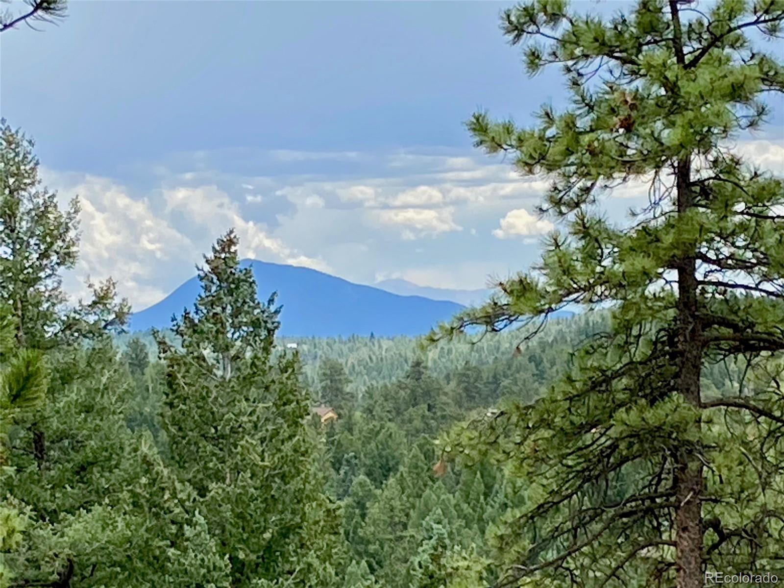 789 Nova Road Pine, CO 80470 - Photo 8 of 40 Gallery Image 8