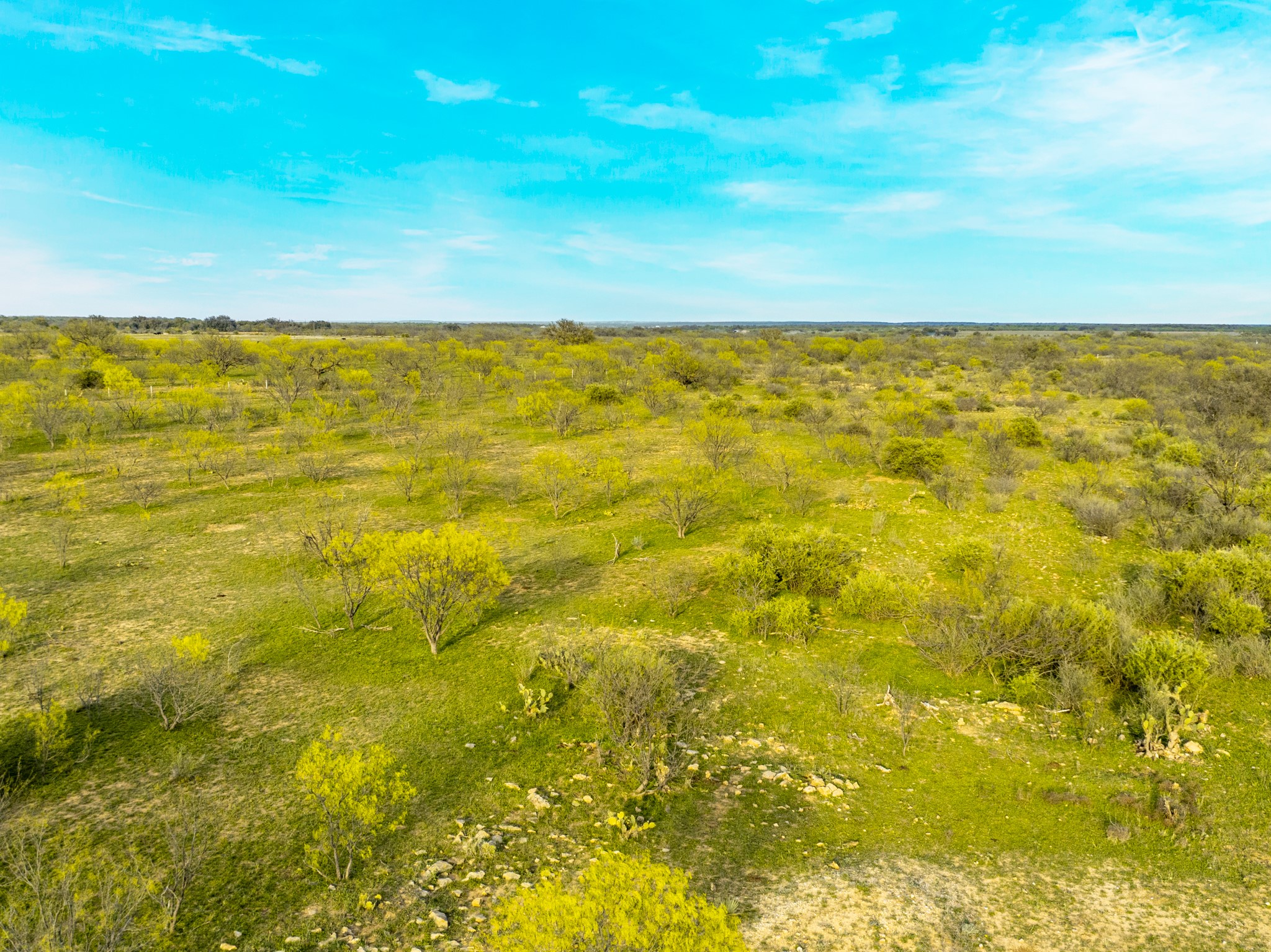 2145 County Road 320 Lohn, TX 76852 - Photo 12 of 40 View of undeveloped land featuring rural landscape