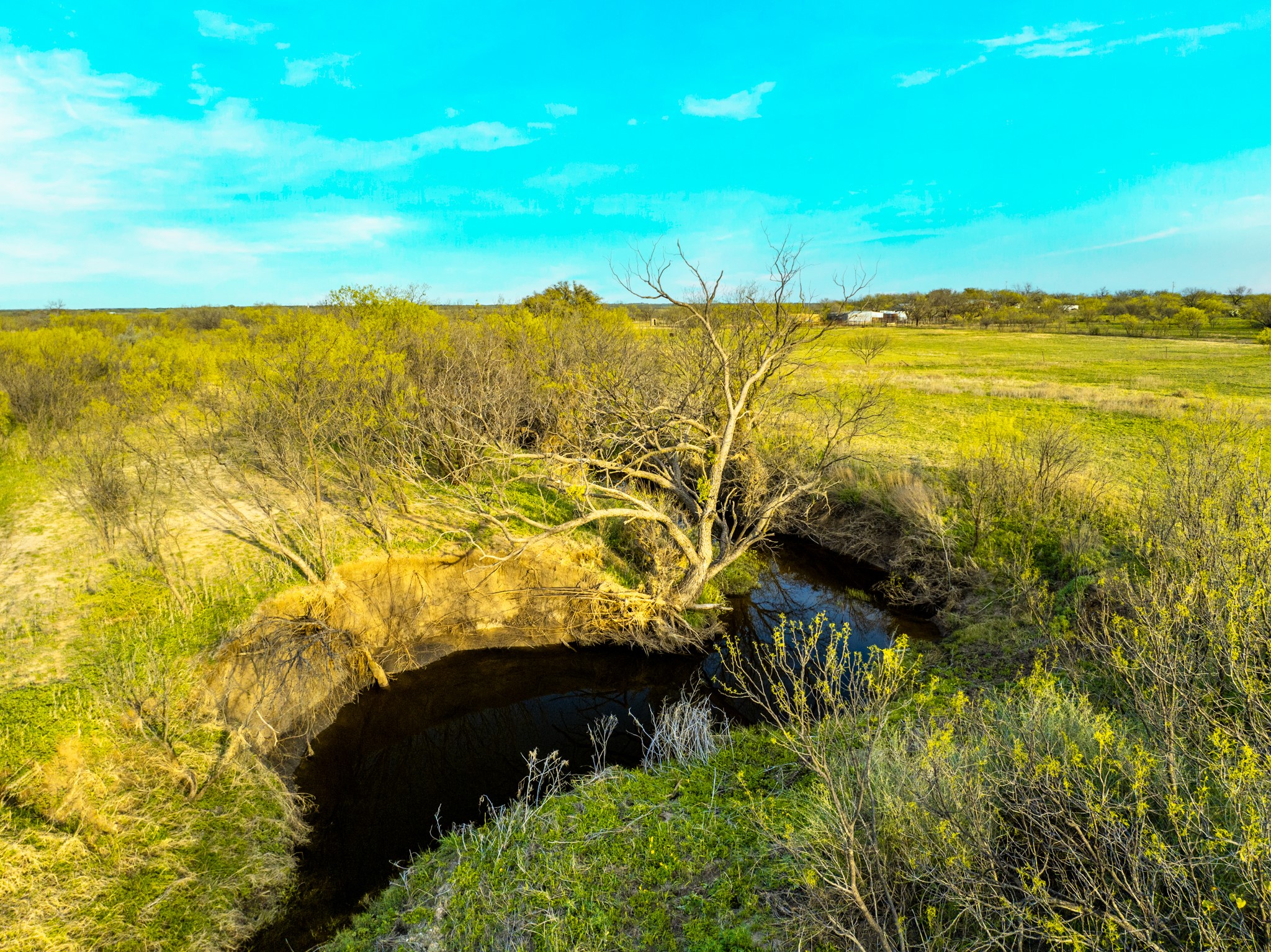 2145 County Road 320 Lohn, TX 76852 - Photo 16 of 39 View of nature