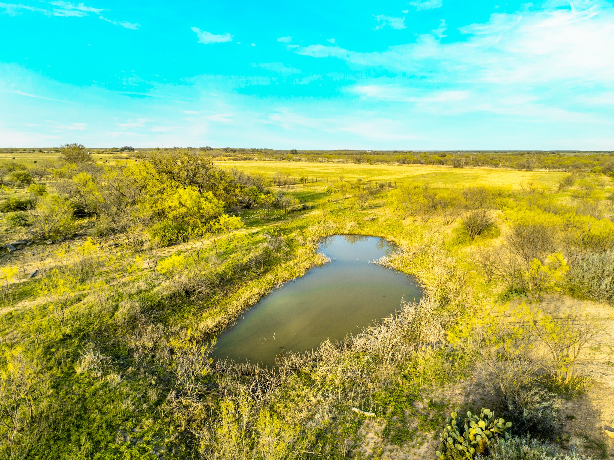 2145 County Road 320 Lohn, TX 76852 - Photo 22 of 39 Bird's eye view of a nearby body of water