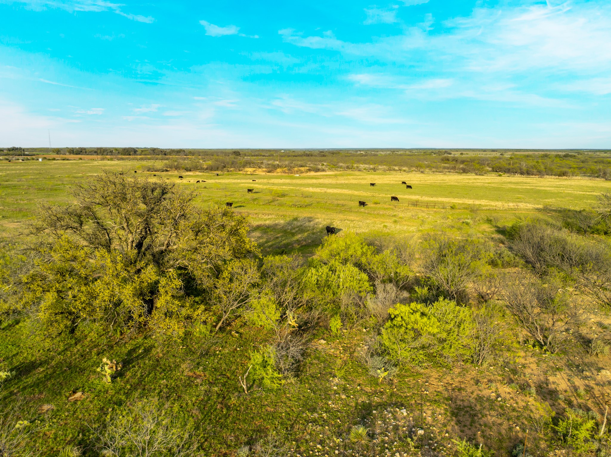 2145 County Road 320 Lohn, TX 76852 - Photo 25 of 39 View of local wilderness with rural landscape