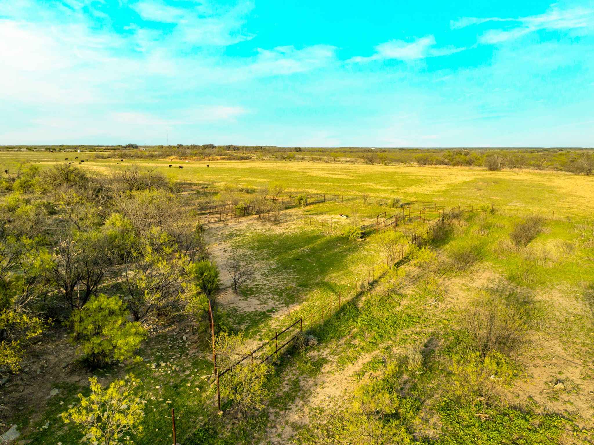 2145 County Road 320 Lohn, TX 76852 - Photo 29 of 39 View of local wilderness with rural landscape