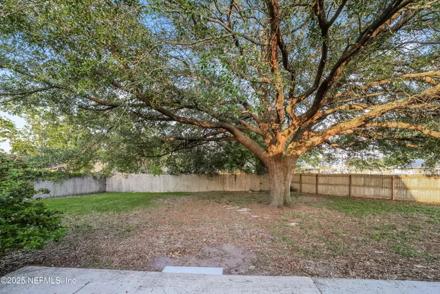 a view of a backyard with large trees