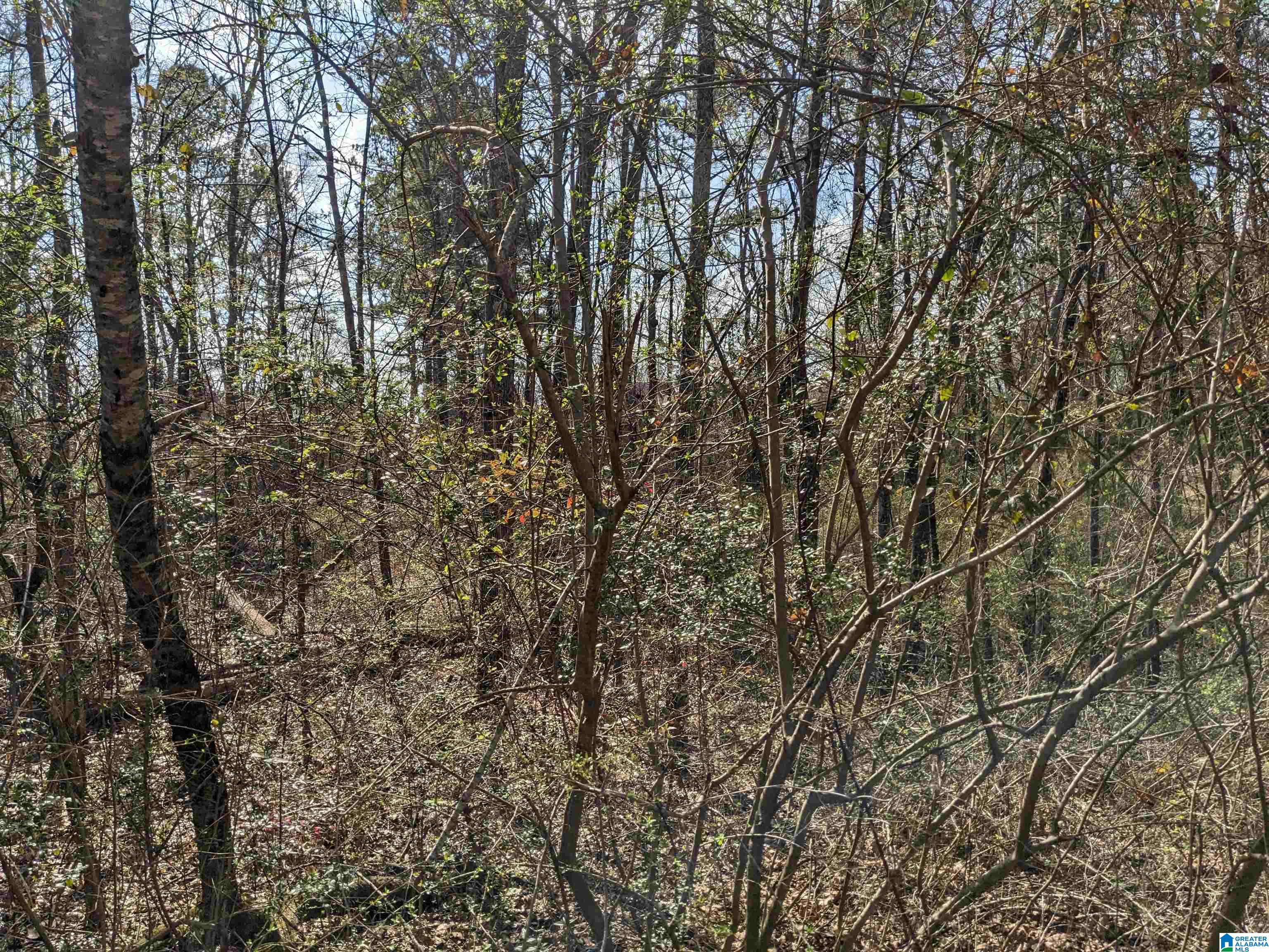 0 Hathaway Heights Road, Unit 2 & 3 Anniston, AL 36207 - Photo 11 of 30