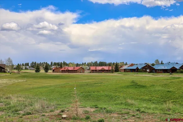 a view of a big yard and a large tree