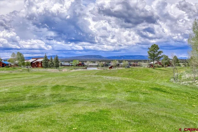 a view of a field with an trees in the background