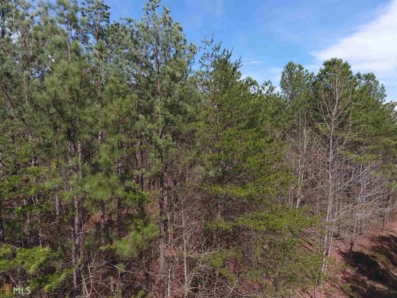 0 Pine Ridge Road Northwest, Unit 50046 Adairsville, GA 30103 - Photo 1 of 1 Gallery Image 1
