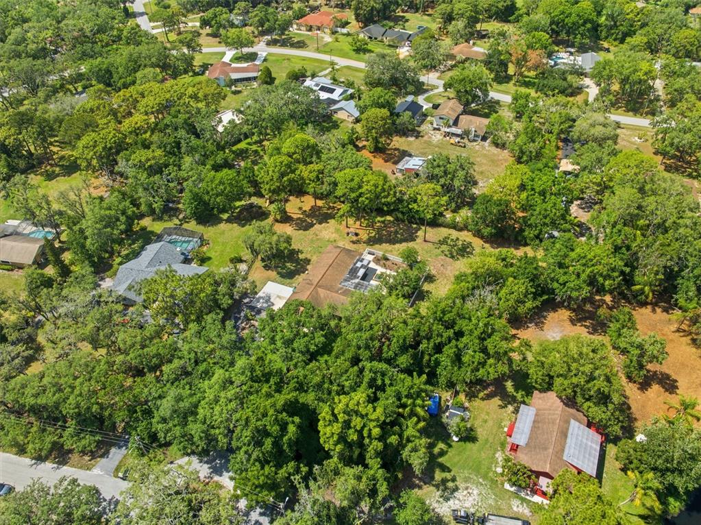 6403 Chiswick Court New Port Richey, FL 34655 - Photo 76 of 86